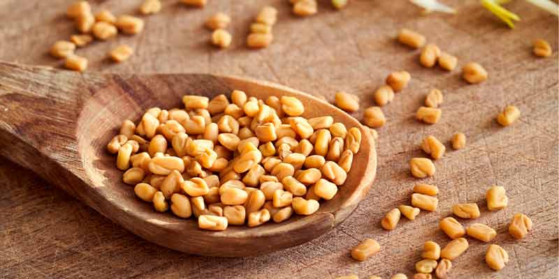 L'UE interdit l'importation de graines de fenugrec d'Egypte