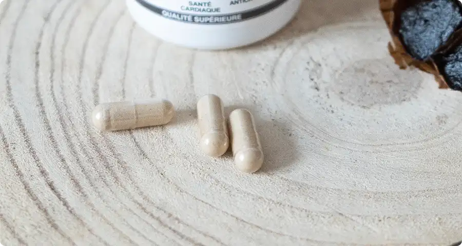 Conseils d'utilisation