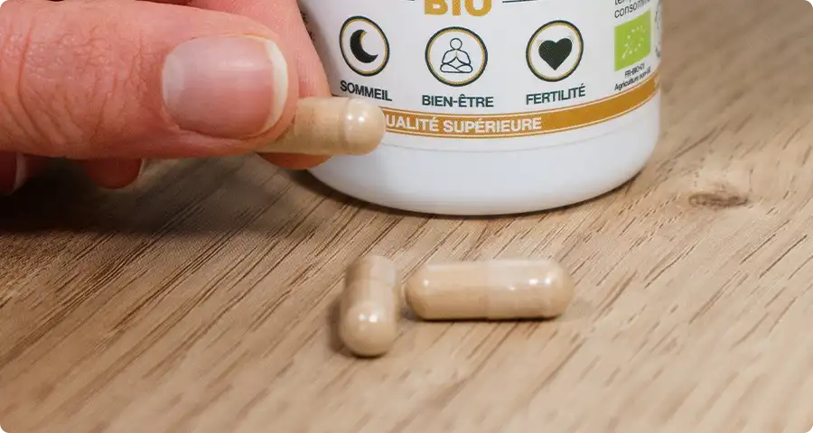 Conseils d'utilisation