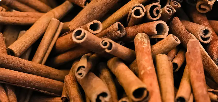 Processus de fabrication