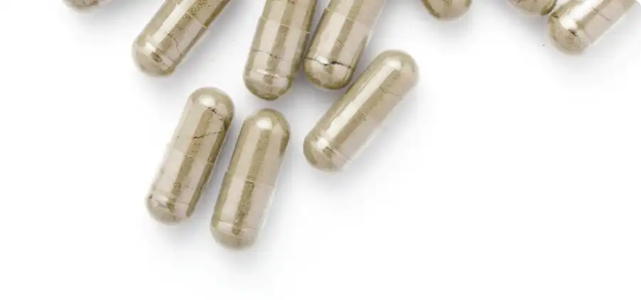 Processus de fabrication