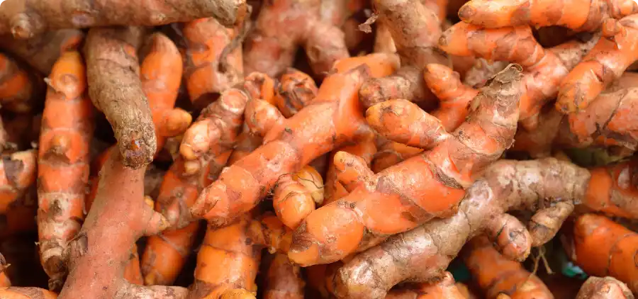 Processus de fabrication