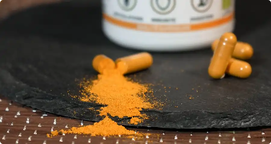 Conseils d'utilisation