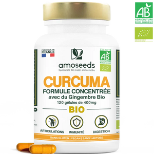 Curcuma Bio, Formule Concentrée avec Gingembre Bio | 120 gélules