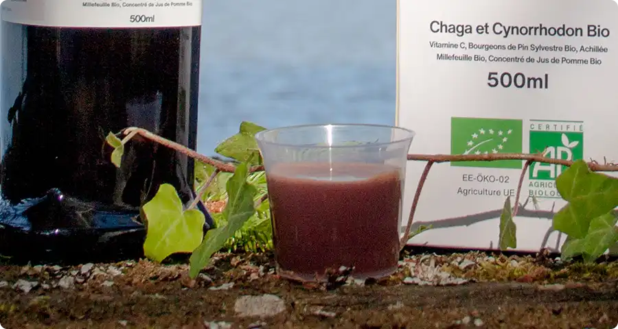 Conseils d'utilisation