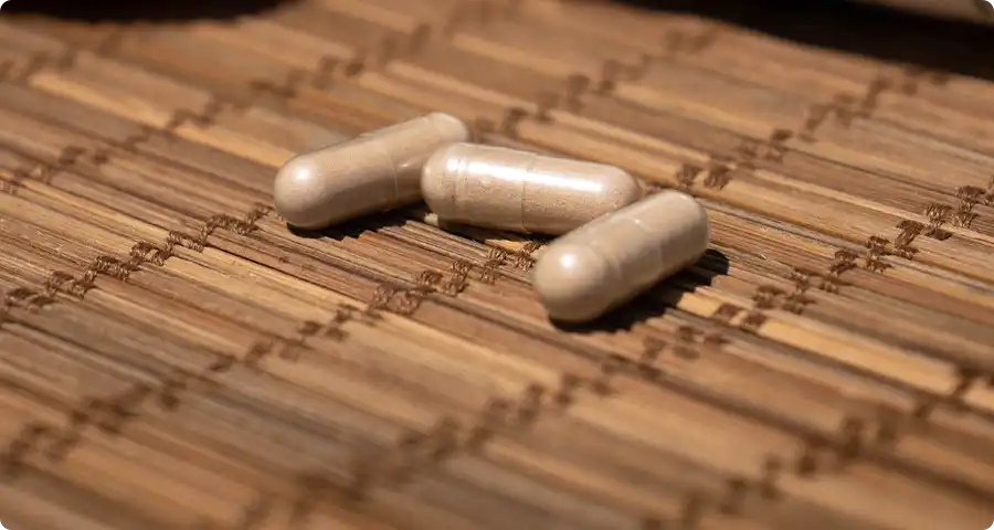 Conseils d'utilisation