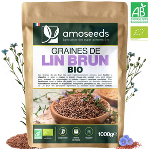 Graines de Lin Brun Bio 1kg