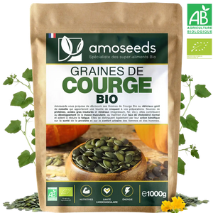 Graines de Courge Bio 1KG