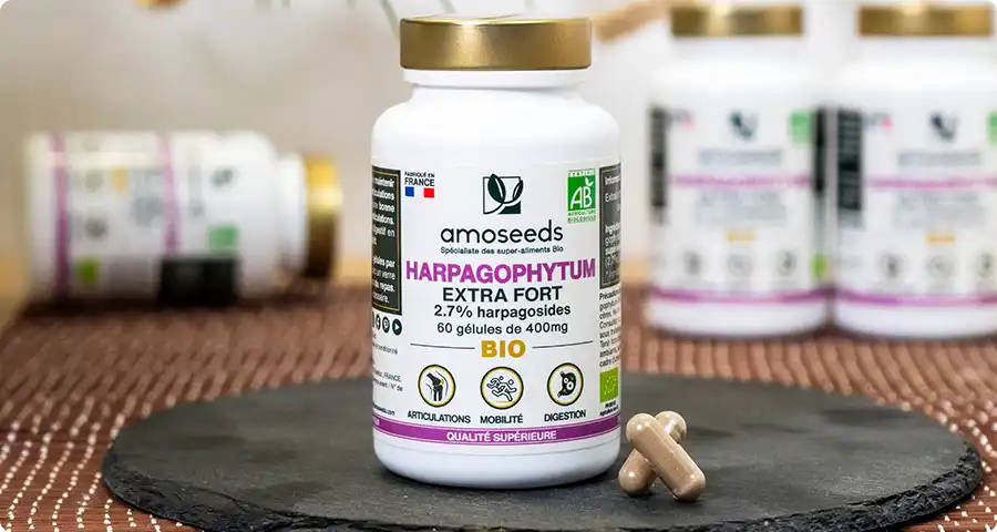 Les bienfaits de l'Harpagophytum Bio