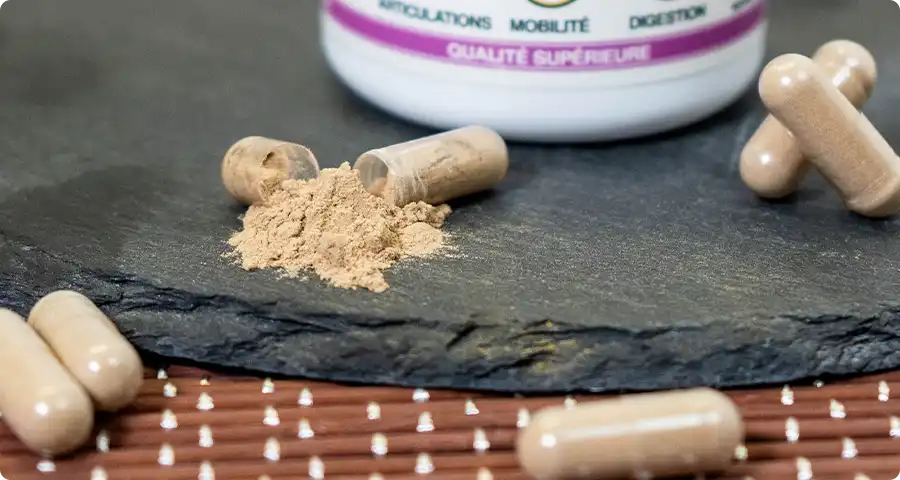 Conseils d'utilisation