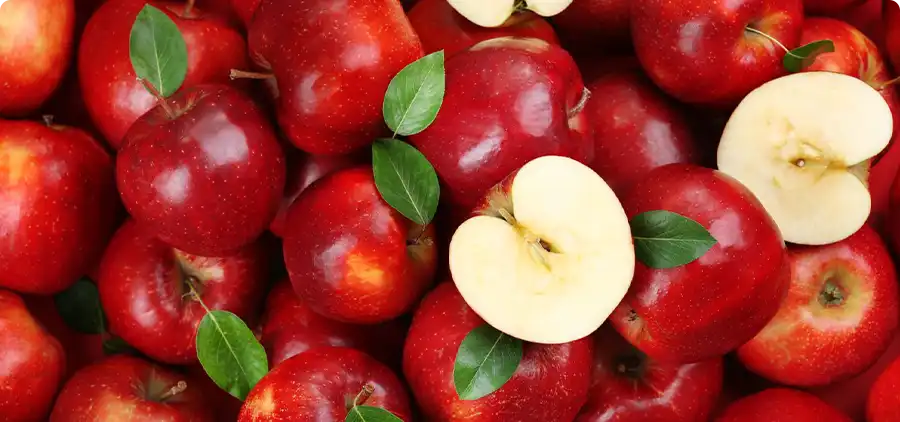 Concentré de jus de pomme Bio