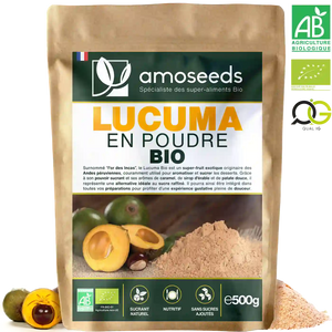 Lucuma en poudre Bio 500G