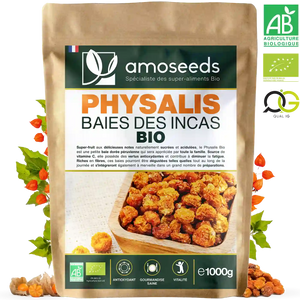 Physalis (Baies des Incas) Bio 1KG