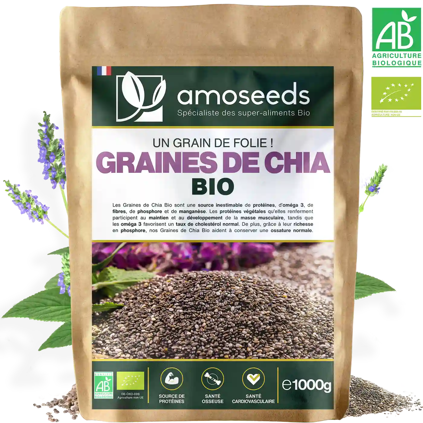 Utilisez le chia pour perdre du poids ! - Améliore ta Santé