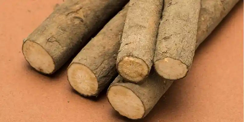 Bardane bienfaits dangers utilisations amoseeds specialiste des super aliments bio