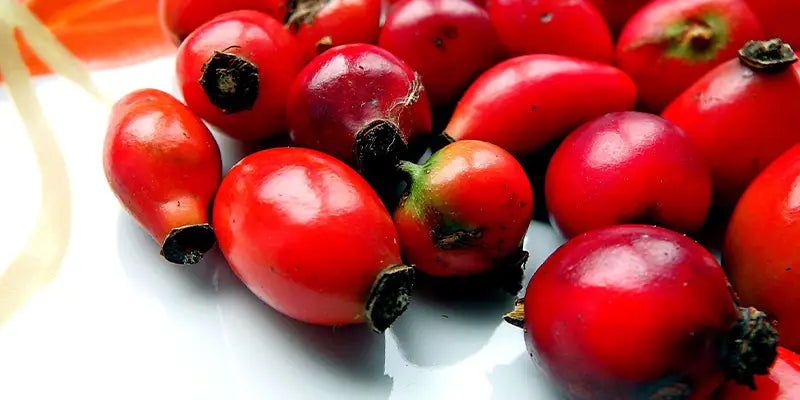 article cynorrhodon contre indications amoseeds specialiste des super aliments Bio