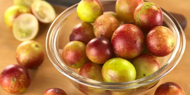 camu camu guide phytotherapie amoseeds specialiste des super aliments Bio