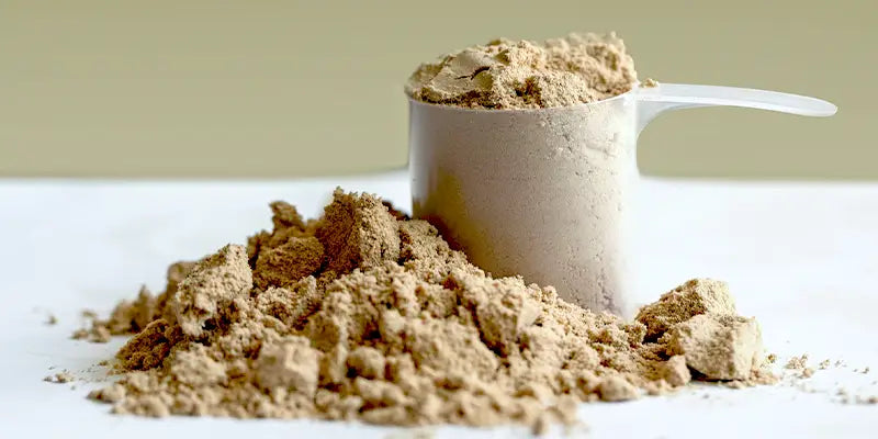 complements alimentaires proteines amoseeds specialiste des super aliments Bio