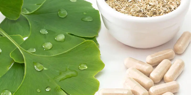 ginkgo acouphene amoseeds specialiste des super aliments Bio