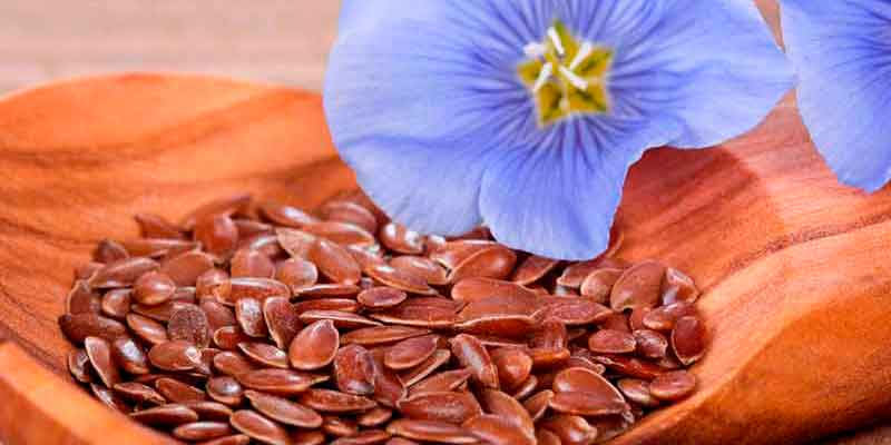 graines de lin brun bio bienfaits proprietes vertus amoseeds specialiste des super aliments bio