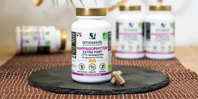 article harpagophytum avis amoseeds specialiste des super aliments Bio