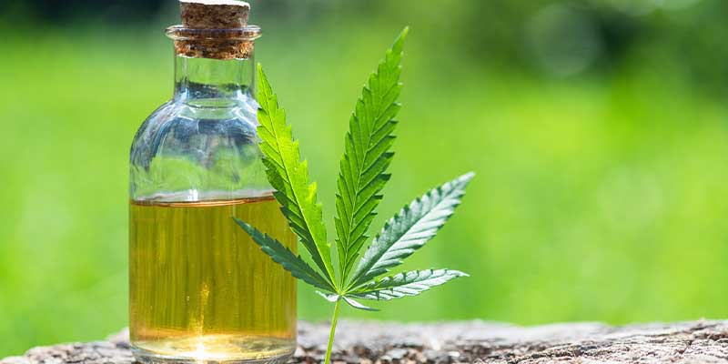 huile chanvre guide utilisation bienfaits amoseeds specialiste des super aliments bio