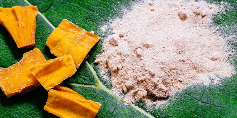 lucuma guide phytotherapie amoseeds specialiste des super aliments Bio