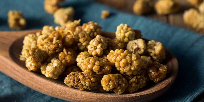 Mulberries : Bienfaits, Risques et Guide d’utilisation
