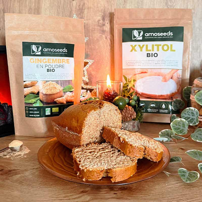 Recette de Cake façon Pain d’Épices au Xylitol et Gingembre Bio 
