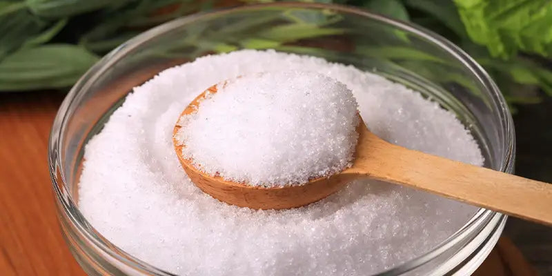 xylitol guide phytotherapie amoseeds specialiste des super aliments Bio