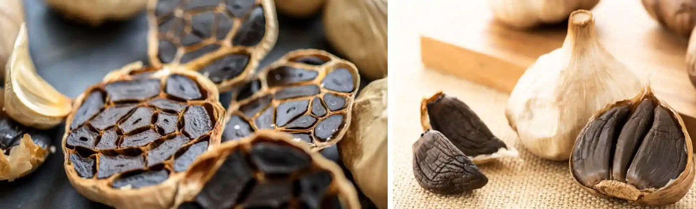 ail noir guide Amoseeds specialiste des super aliments Bio