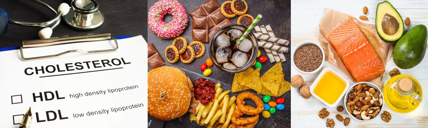aliments contre cholesterol Amoseeds specialiste des super aliments Bio