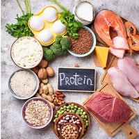 aliments riches proteines Amoseeds specialiste des super aliments Bio