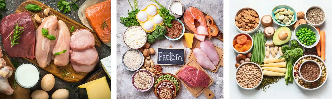 aliments riches proteines Amoseeds specialiste des super aliments Bio