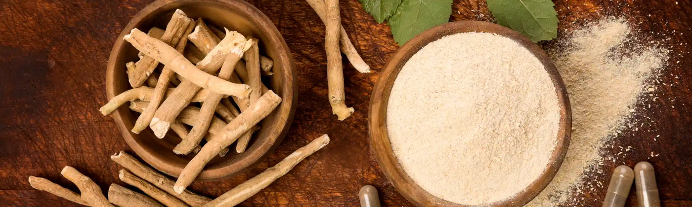 Ashwagandha en poudre bio amoseeds specialiste des super aliments bio