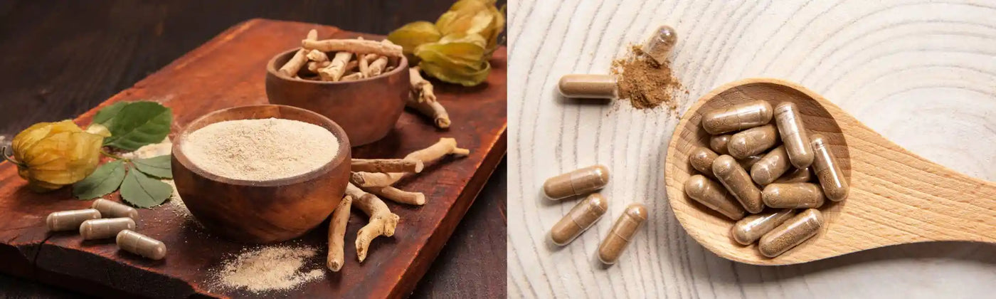 aliments contre cholesterol Amoseeds specialiste des super aliments Bio 