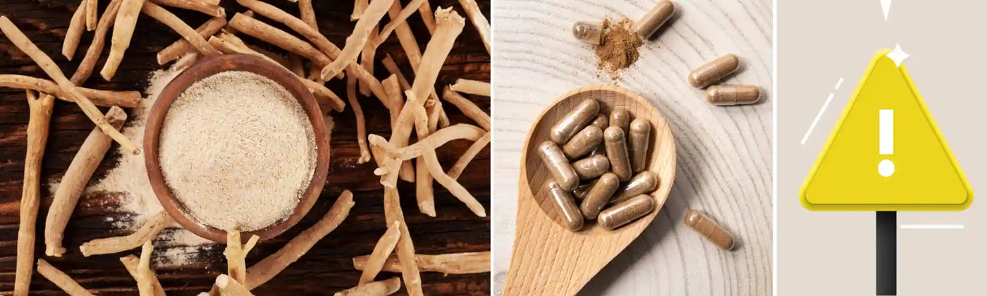 Ashwagandha bio dangers amoseeds specialiste des super aliments bio
