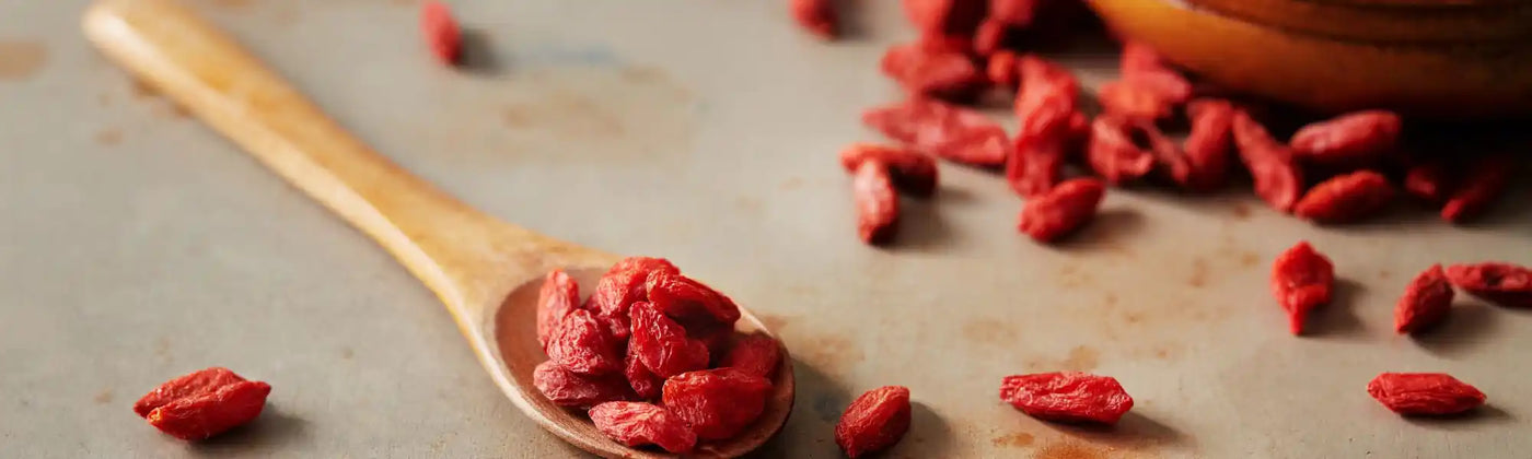 baies goji dangers amoseeds specialiste des super aliments Bio
