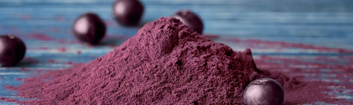 acai en poudre bio amoseeds specialiste des super aliments bio