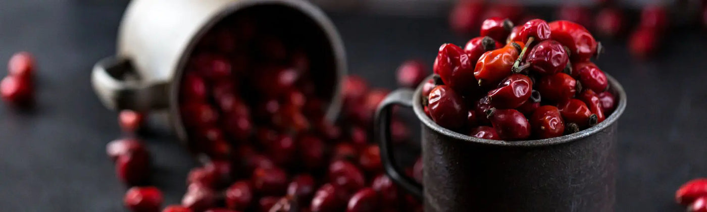 cynorrhodon rosa canina utilisation bienfait risque amoseeds specialiste des super aliments bio