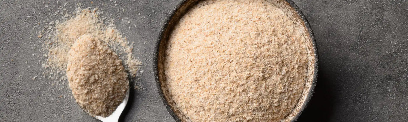 Teguments psyllium blond bio amoseeds specialiste des super aliments bio