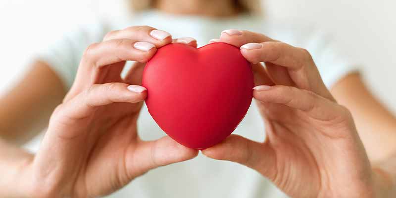 cholesterol sante cardiovasculaire amoseeds specialiste des super aliments bio,