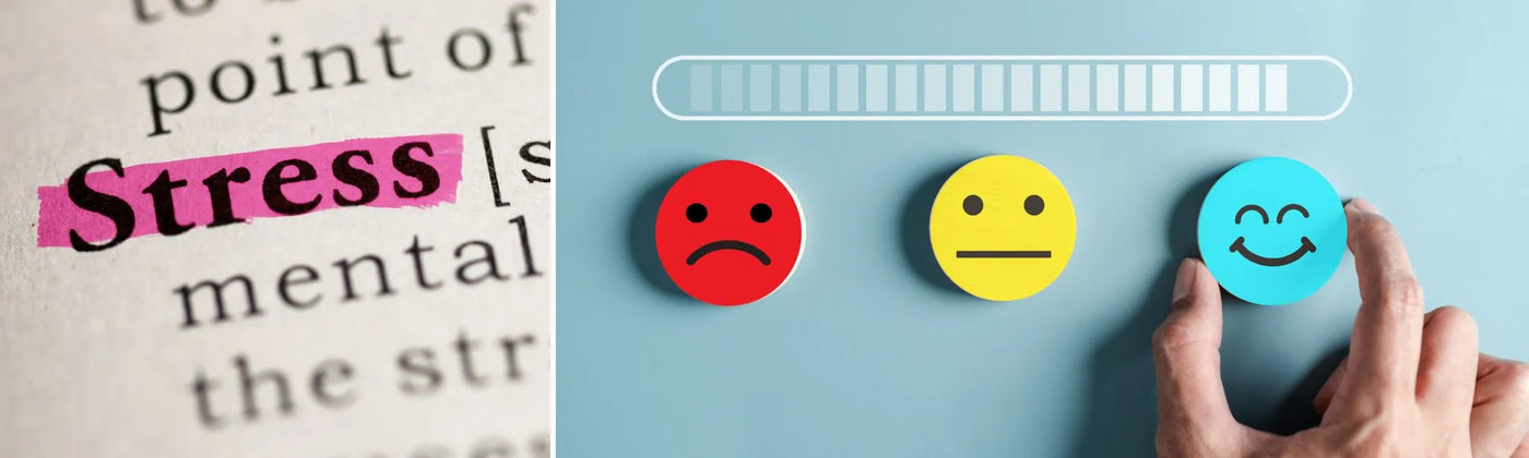 cortisol Amoseeds specialiste des super aliments Bio