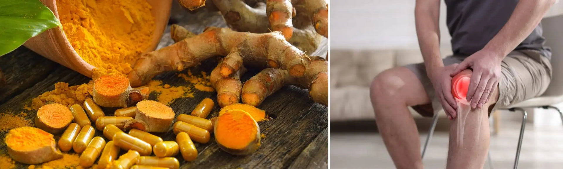 Cordyceps : bienfaits santé, dosage optimal et risques Cordyceps : bienfaits santé, dosage optimal et risques