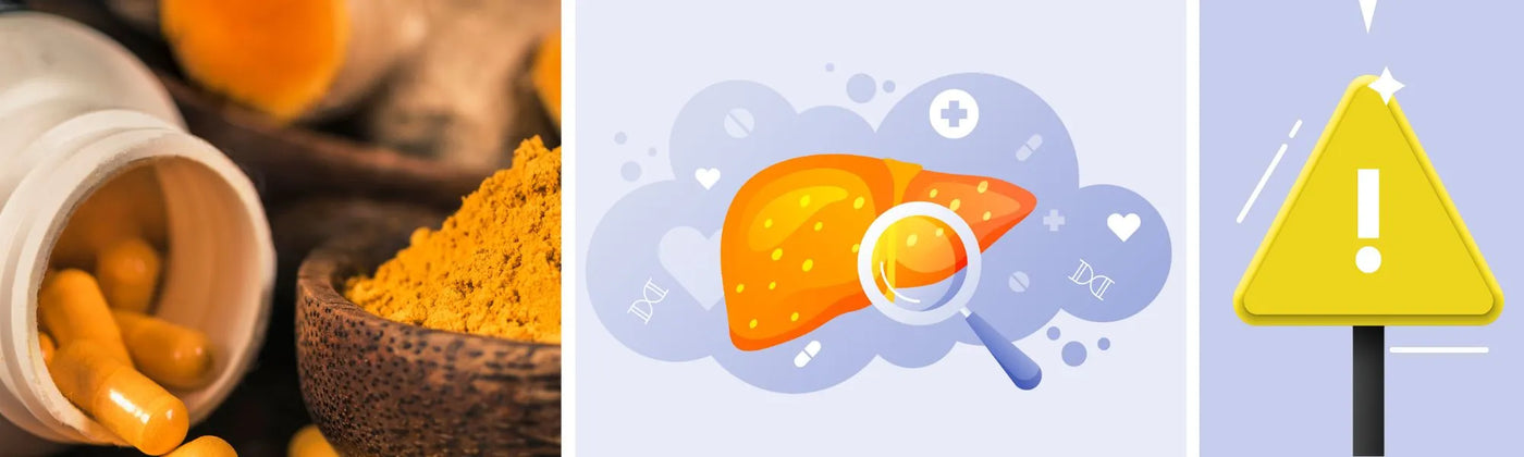 article curcuma dangers foie amoseeds specialiste des super aliments Bio