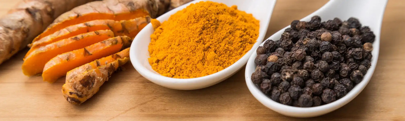 curcuma piperine Amoseeds specialiste des super aliments bio