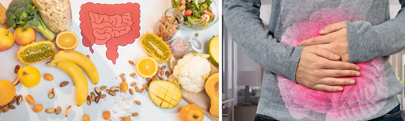 digestion difficile solutions naturelles Amoseeds specialiste des super aliments Bio
