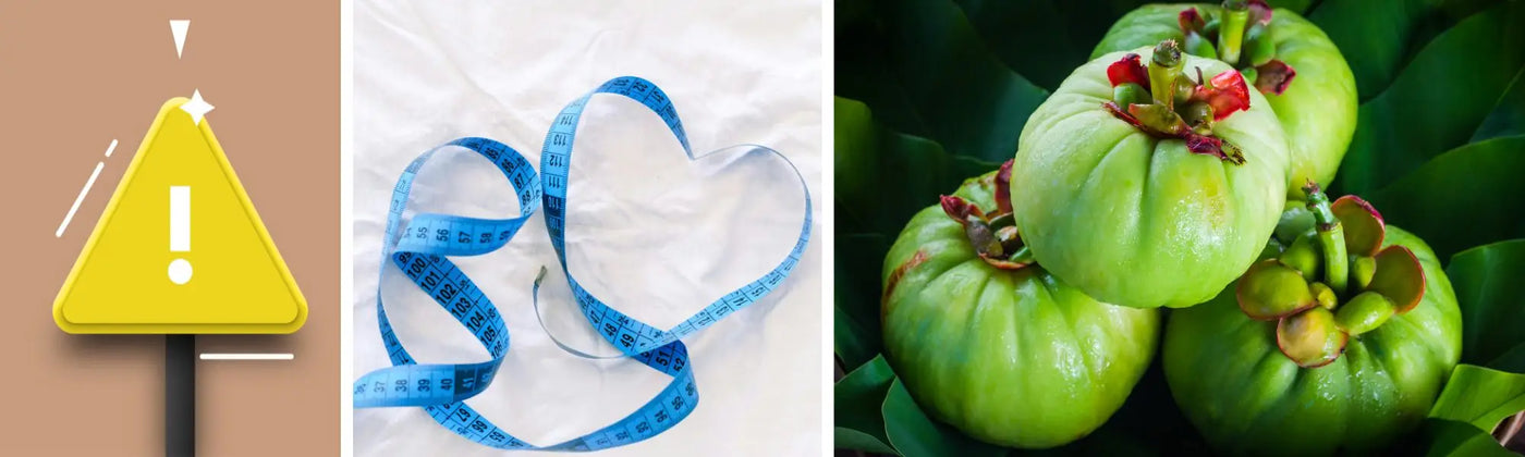 garcinia cambogia article  phytotherapie amoseeds specialiste des super aliments Bio