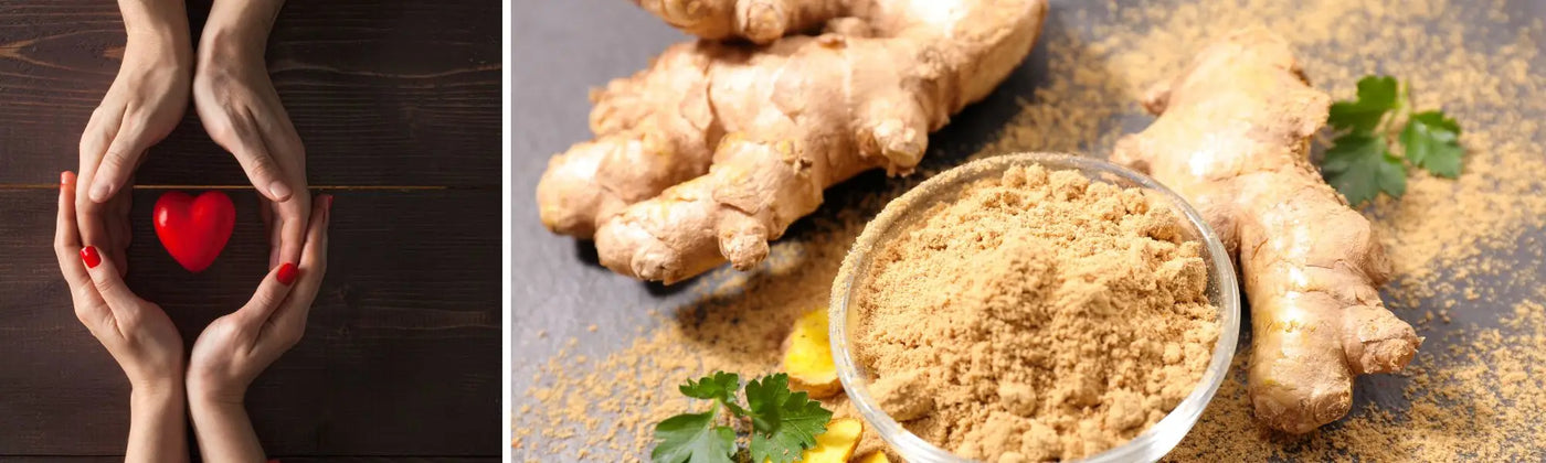 gingembre aphrodisiaque amoseeds specialiste des super aliments Bio