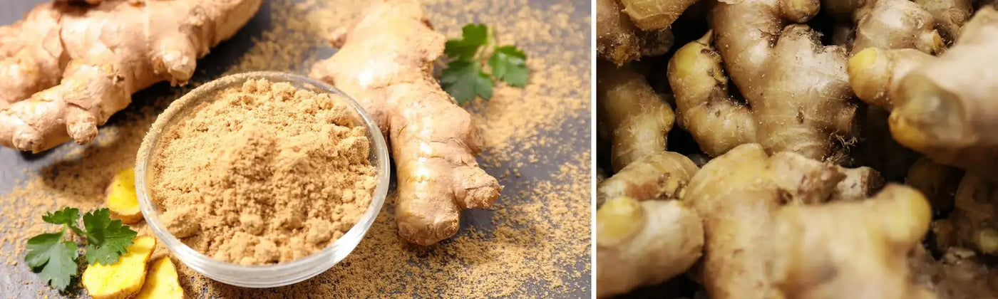 article gingembre dangers amoseeds sepcialiste des super aliments Bio